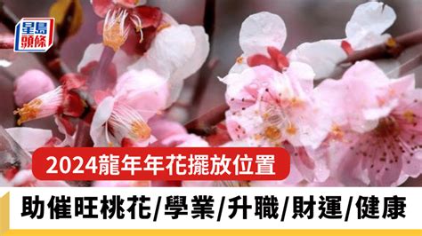 2024桃花位|2024龍年風水｜富貴竹買幾支？桃花要點擺？一文睇 